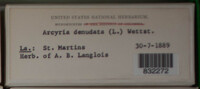 Image Associated With the Occurence